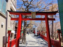 -富士山吉田線五合目