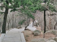 -崂山巨峰游览区
