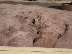 -鄂尔多斯野生动物园