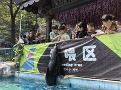 -灵玲国际马戏城