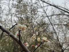 -白塘生态植物园