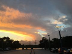 -九里河湿地公园