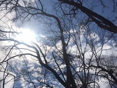 -阳台山自然风景区