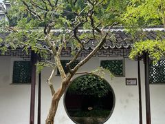 -上海醉白池公园