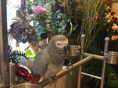 -森野花艺培训·企业团建活动沙龙