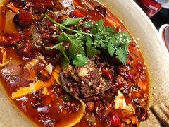 招牌毛血旺-映水芙蓉(上海万象城店)