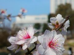 -江南大学(蠡湖校区)
