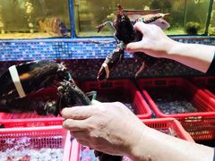 -巽寮印象美食部落餐厅·海鲜·地方特色菜(惠州体验店)