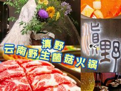 -滇野云南野生菌餐厅(陕西南路店)