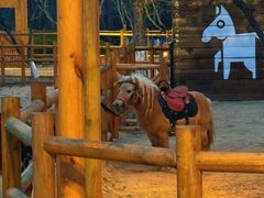 -茅山东方盐湖城景区