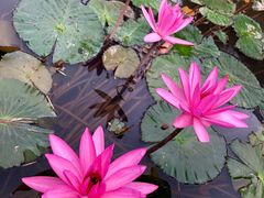 景点-红色娘子军纪念园