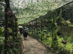 -北海金海湾红树林生态旅游区