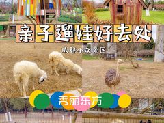 -秀丽东方