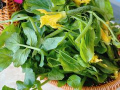 -墨脱石锅椰子鸡•香草鸭•东山羊(大东海店)