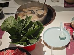 -洪氏嗨捞·猪肚鸡火锅(阳光天地店)