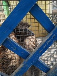 -萌宠亲子动物乐园(槐房万达店)