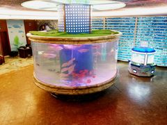 -印象·浅水湾(百乐门大厦店)