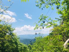 -王顺山国家森林公园