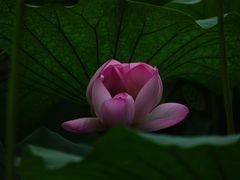 -大宁灵石公园西门票处