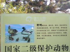 -大兴滨河森林公园