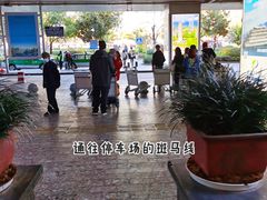 -丽江三义国际机场