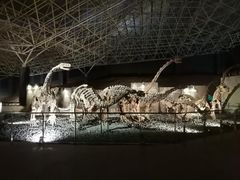 -世界恐龙谷景区