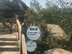 -大岭沟猕猴桃谷风景区