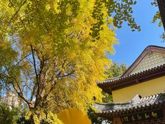 -郑和公园