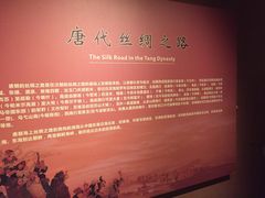 -宁夏博物馆