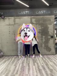 -CASTER跳舞俱乐部