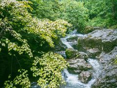 -龙苍沟森林公园
