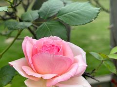 -国际非物质文化遗产博览园