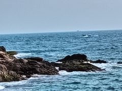 -广东惠东海龟国家级自然保护区
