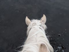-额尔古纳黑山头绿野马帮骑马场