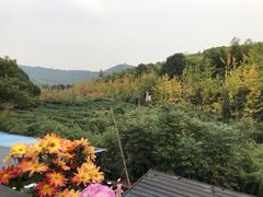 -旺山·浪头人家