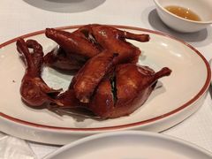 -新雅粤菜馆(南京东路店)