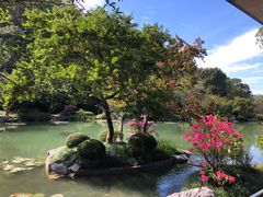 -云溪植物园