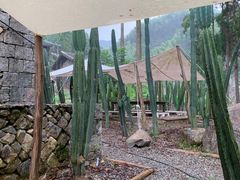 -MOJ coffee(瓯海泽雅水碓坑店)