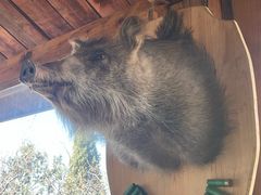 -猎鹰谷实弹射击俱乐部