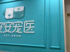 -安安宠医宠物医院·异宠·犬猫内科(岳阳分院)