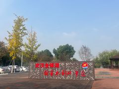-金银湖国家城市湿地公园