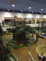 -卡通尼·Safari非洲探索乐园·生日会(金桥国际商业广场店)