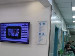 -北京观赏动物医院·24小时大型综合·猫专科·异宠专科