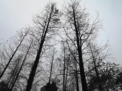 -晓港公园