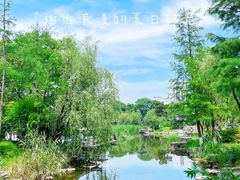 -日出青木·杭帮菜名店