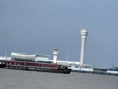 -上海滨江森林公园