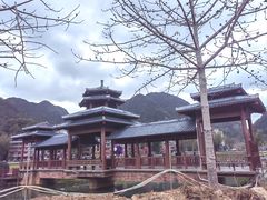 -靖西鹅泉风景区