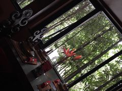 -花马天堂云南餐厅 Lost Heaven(高邮路店)