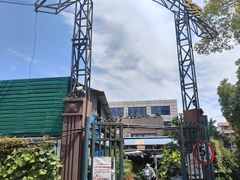 -曲阳花鸟市场(曲阳路店)