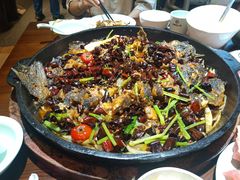 -老板恋上鱼(高新万达店)